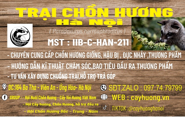 TRẠI CẦY HƯƠNG HÀ NỘI